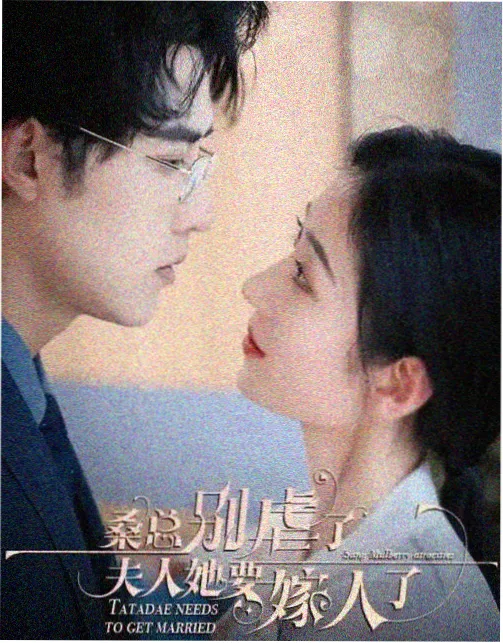 双生回声电视剧在线播放免费观看